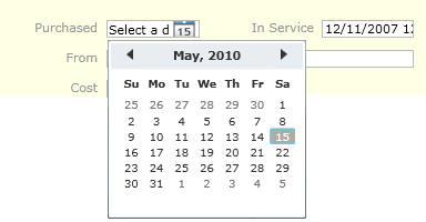 .Net Date Picker Field